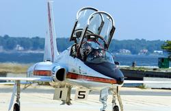 T-38 TPS 1.jpg